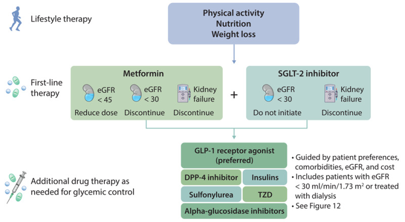 Figure 10. . Antihyperglycemic Therapies in Patients with Diabetes and CKD Source KDIGO guideline on management of diabetes in CKD Source: Reproduced with permission from Kidney Disease: Improving Global Outcomes (KDIGO) (172).