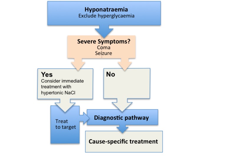 Hyponatremia Causes Algorithm 5246